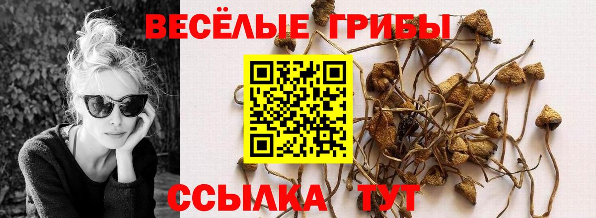 Галлюциногенные грибы MAGIC MUSHROOMS Нижний Тагил